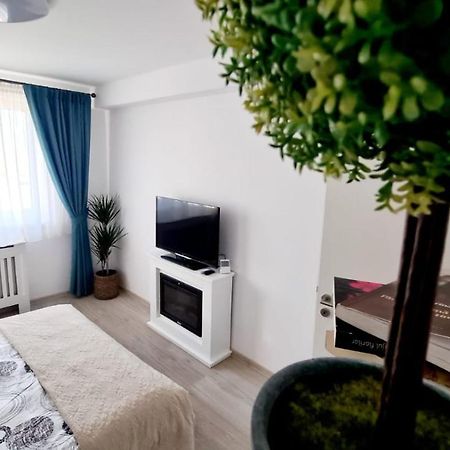 Cozy Studio Apartment Brasov Luaran gambar