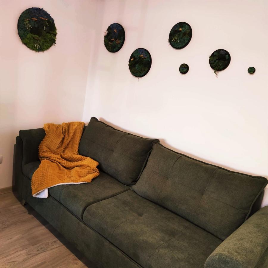 Cozy Studio Apartment Brasov Luaran gambar