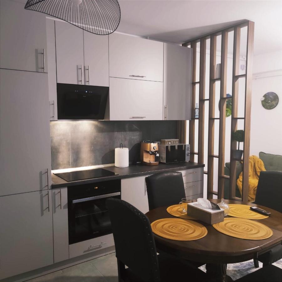Cozy Studio Apartment Brasov Luaran gambar