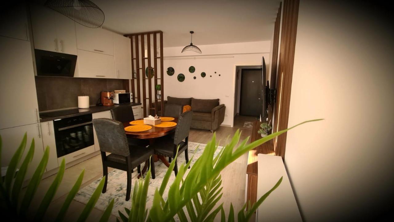 Cozy Studio Apartment Brasov Luaran gambar