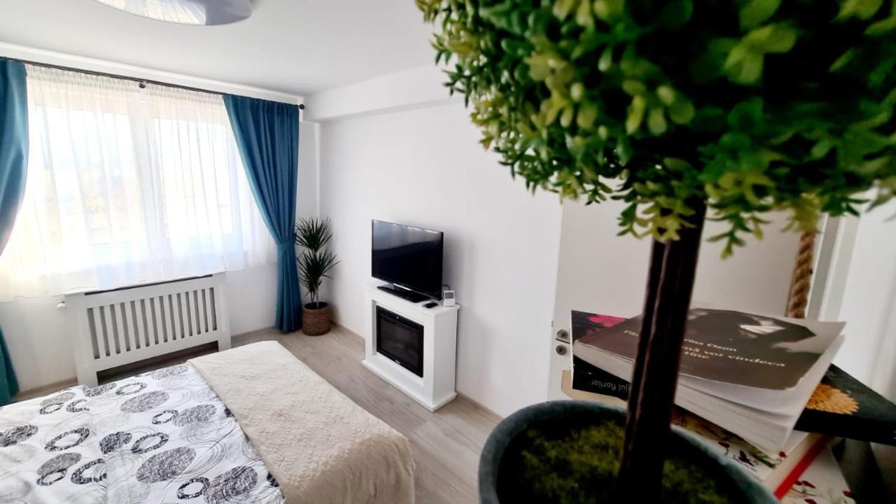 Cozy Studio Apartment Brasov Luaran gambar