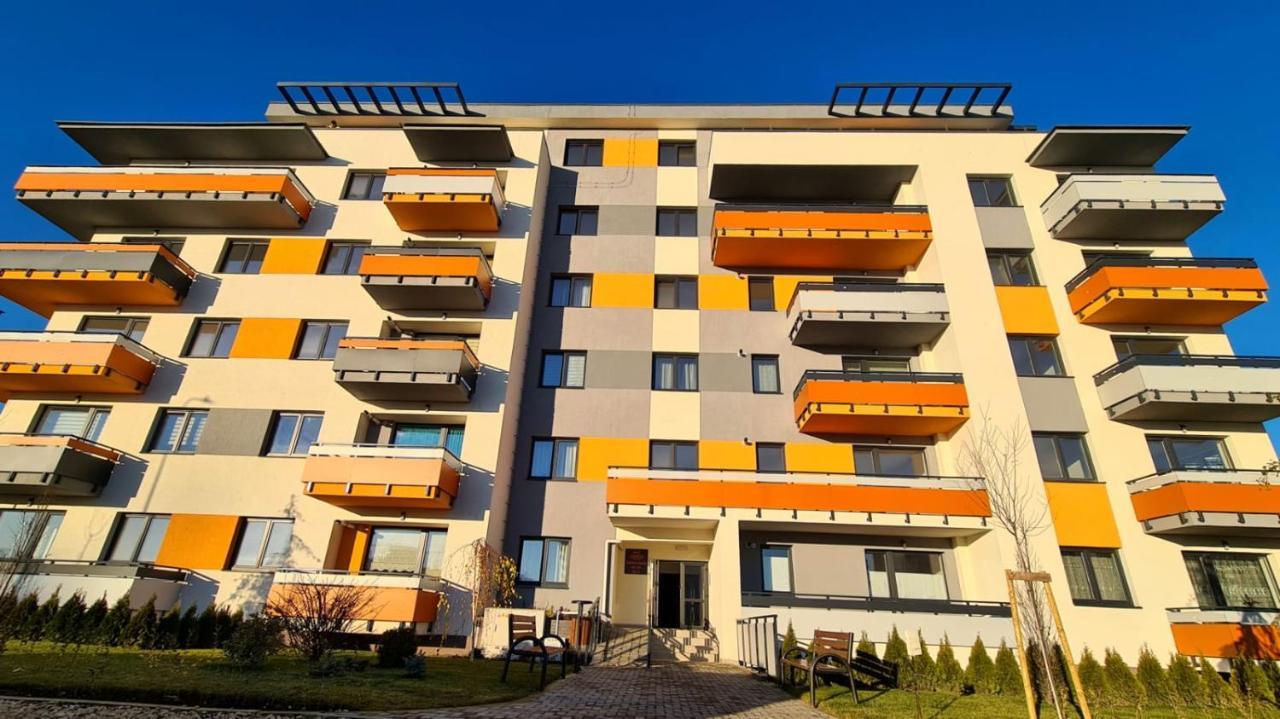 Cozy Studio Apartment Brasov Luaran gambar
