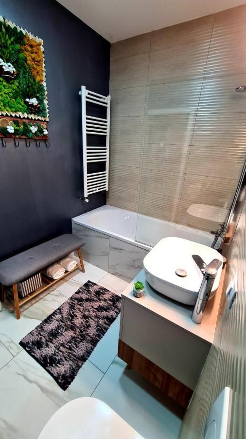 Cozy Studio Apartment Brasov Luaran gambar